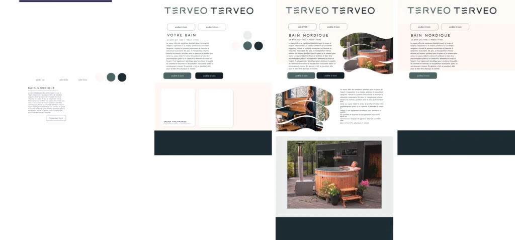 Terveo website design